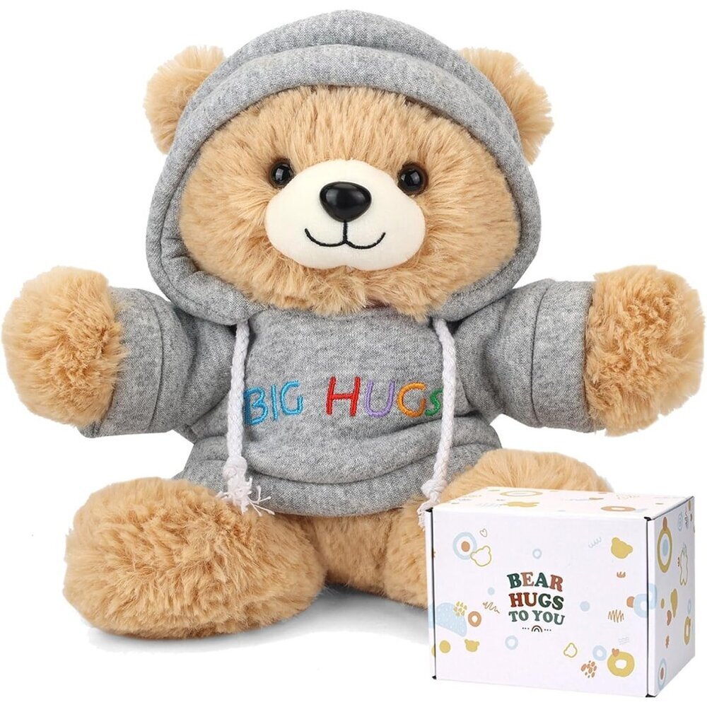 Big Hugs Teddy Bear Stuffed Animal with Gift Box Removable Hoodie Toy